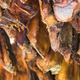 Icelandic fermented shark, hakarl, will be one of the foods on display.